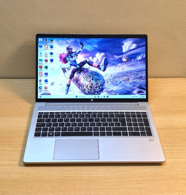 HP ProBook 455 G8 (32P01EA)