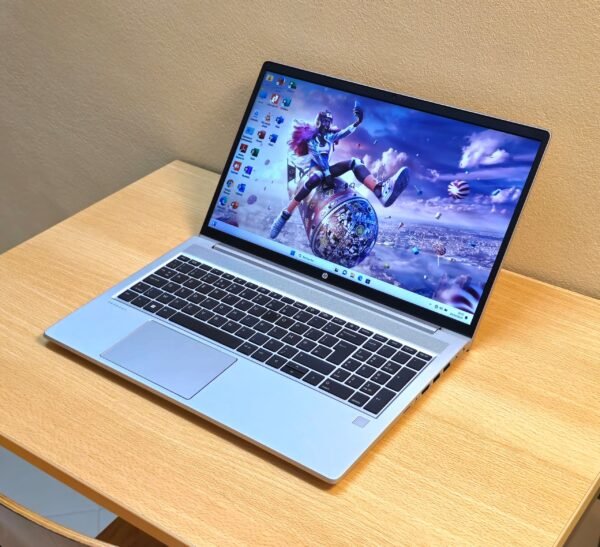 HP ProBook 455 G8 (32P01EA)